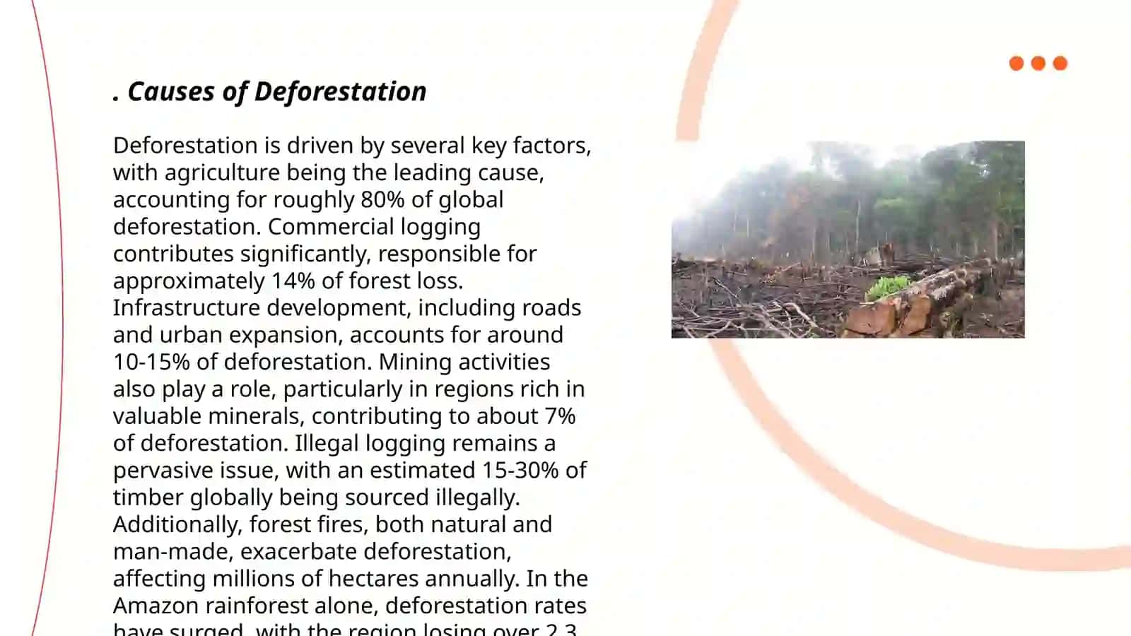 Deforestation 3