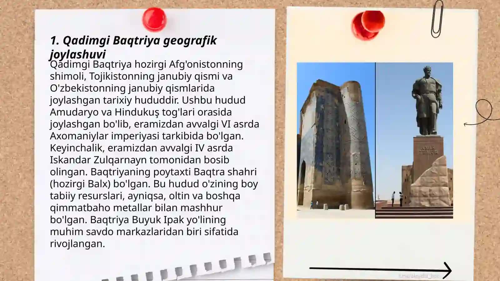 Qadimgi Baqtriya davlati 3