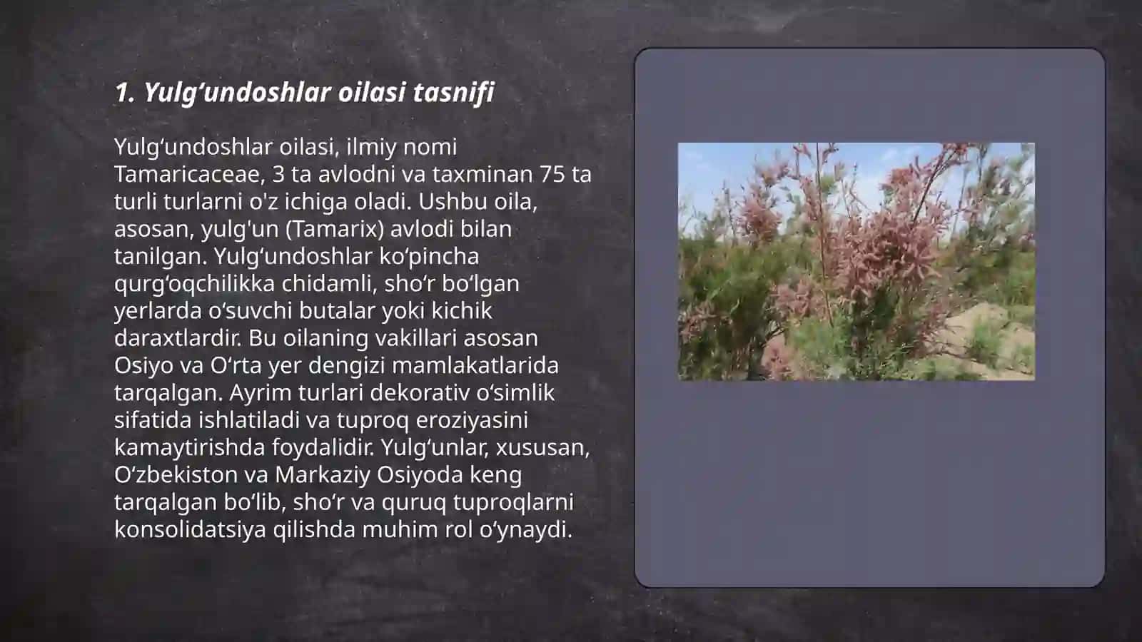 Yulgʻundoshlar oilasi 3