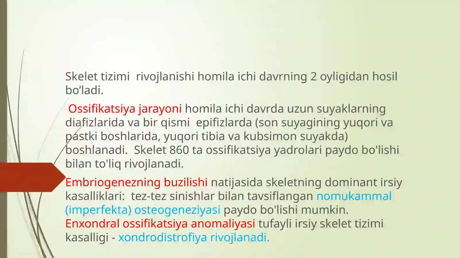Bolalarda suyak-mushak sistemasining anato-fiziologik xususiyatlari. Suyak-mushak sistemasining jarohatlanish semiotikasi 3