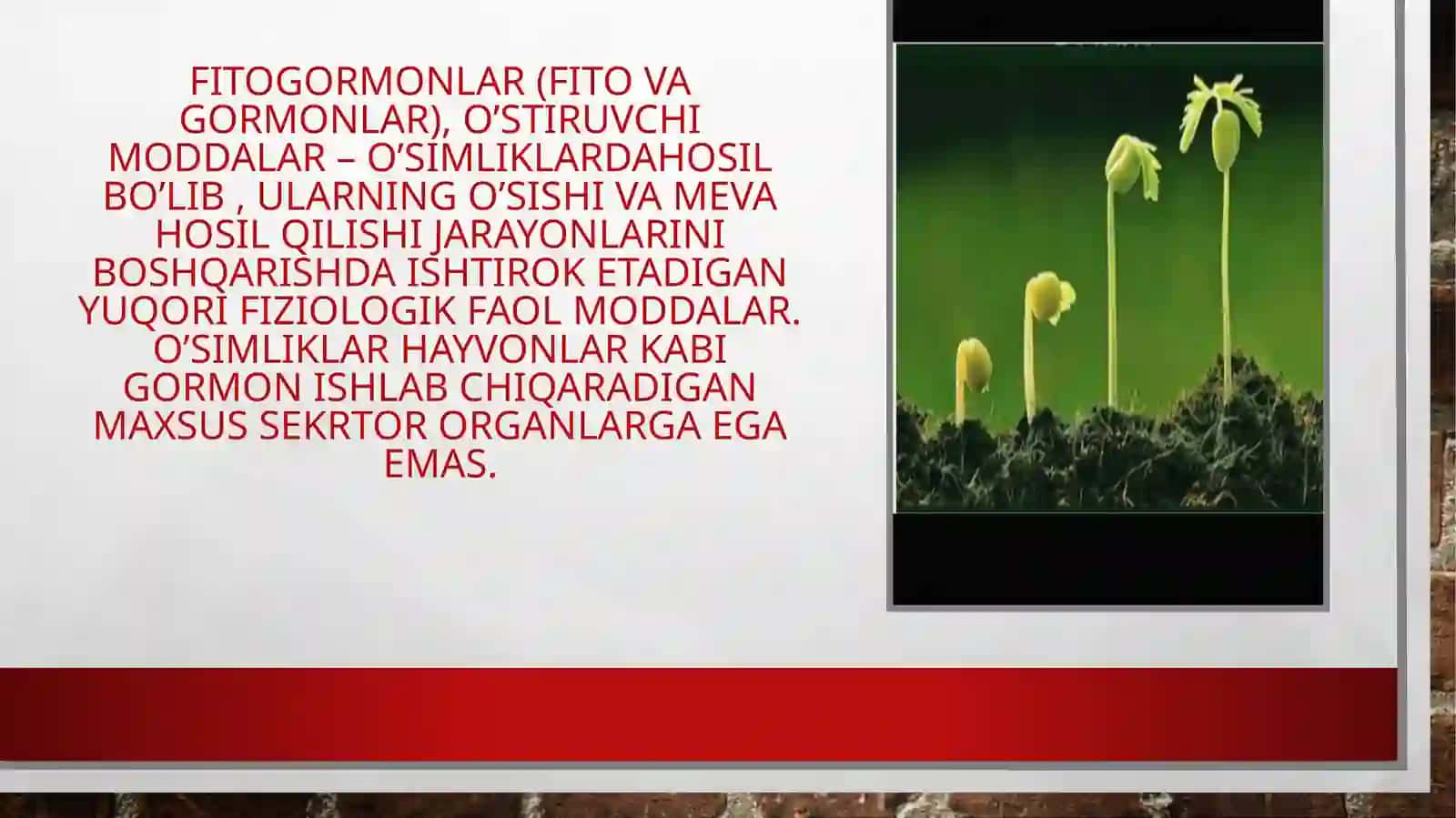 Fitogormonlar-fizilogikfaolmoddalar 3