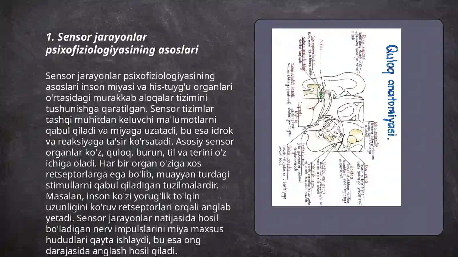 Sensor jarayonlar psixofiziologiyasi va sensor tizimning umumiy xususiyatlari 3