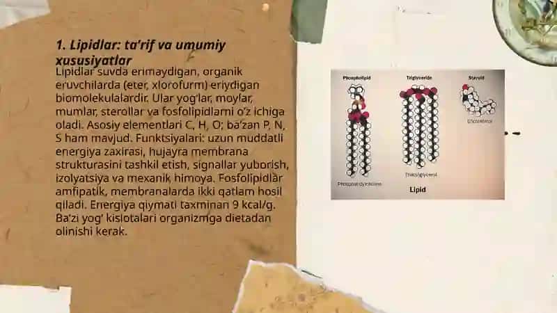 Lipidlar 3