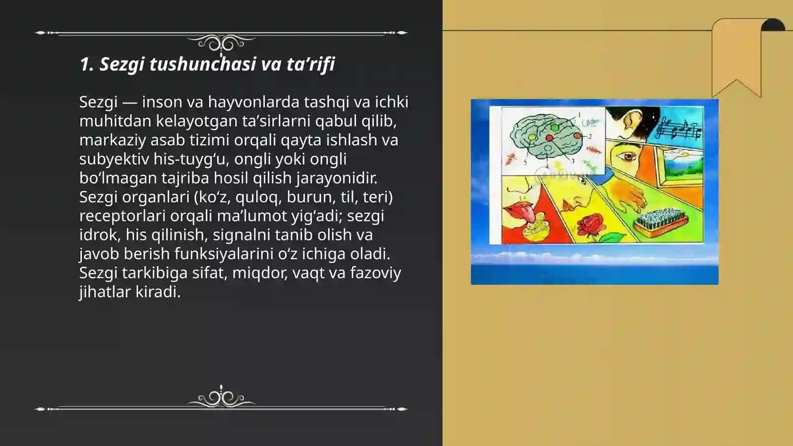Sezgi 3