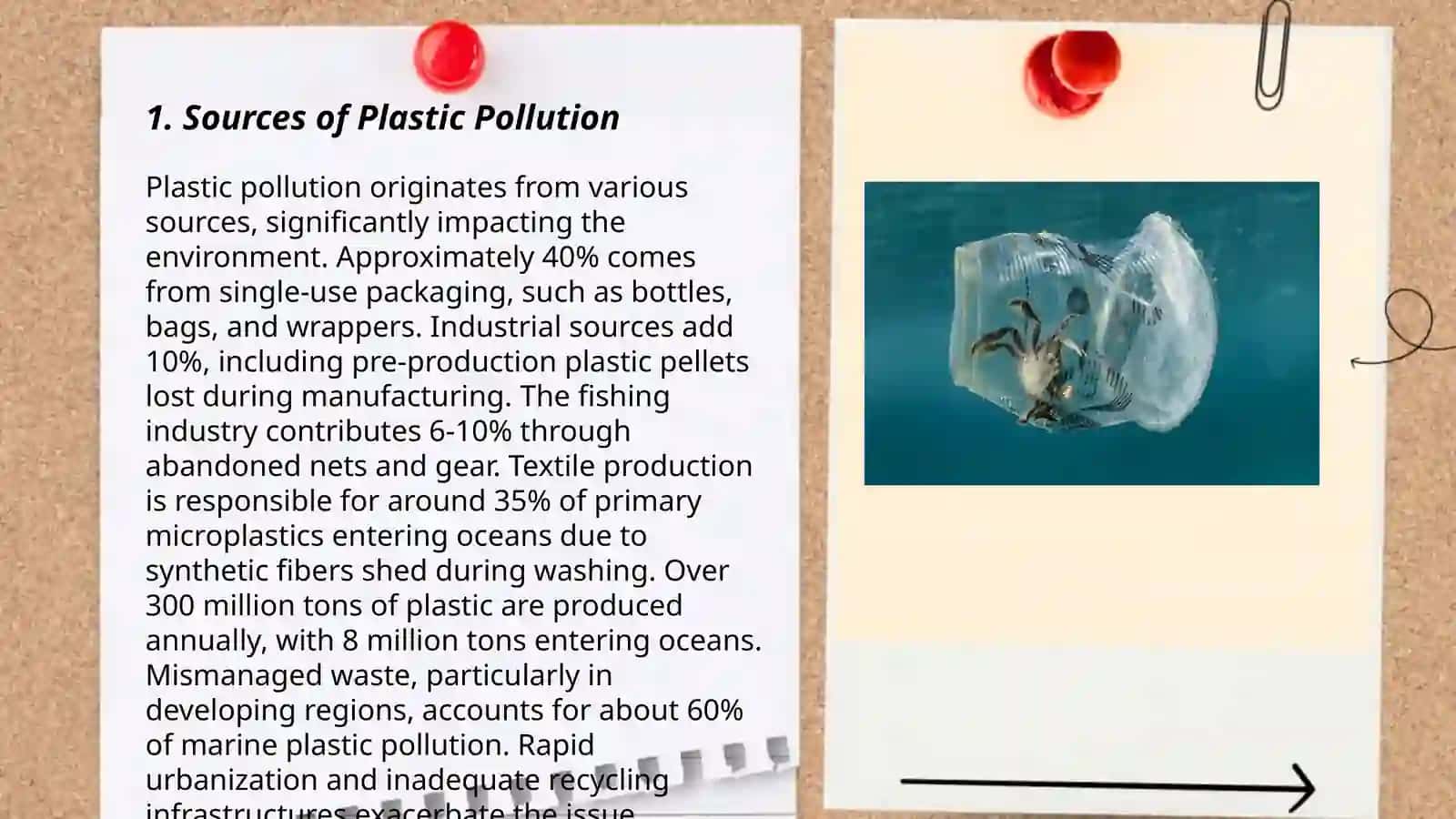 Plastic pollution Grade 10 3