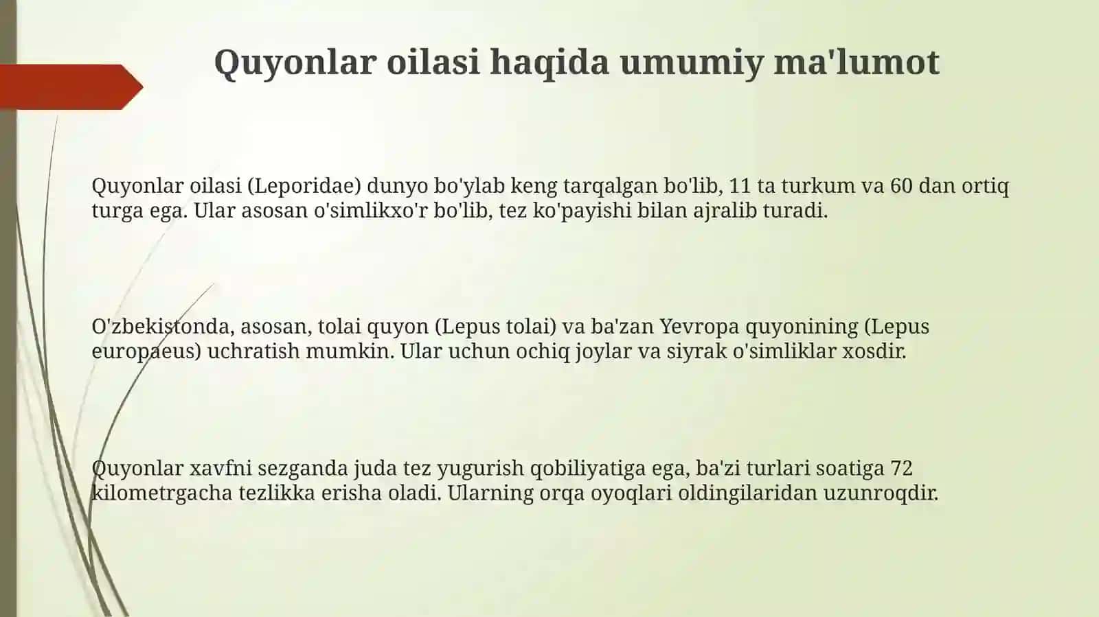 Toldoshlar oilasi, respublikamizda keng tarqalgan turkum va turlariga ta'rif 3