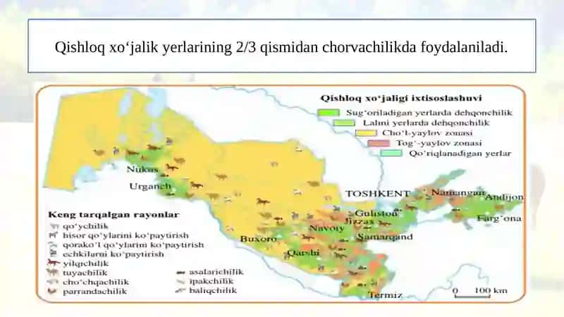 CHORVACHILIK 3