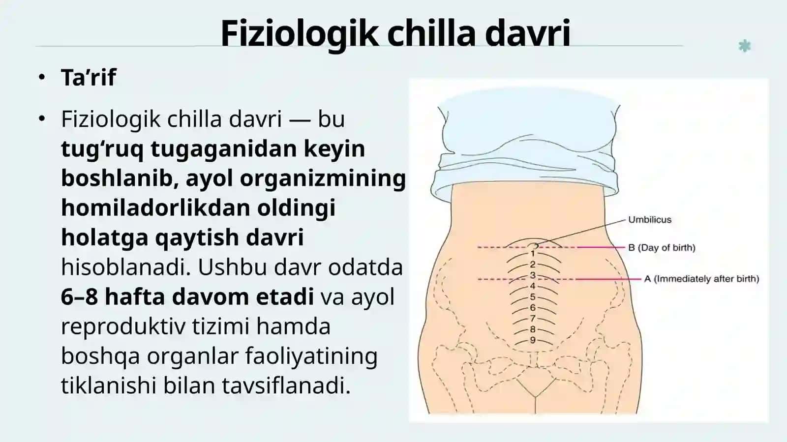 Fiziologikchilladavri 3