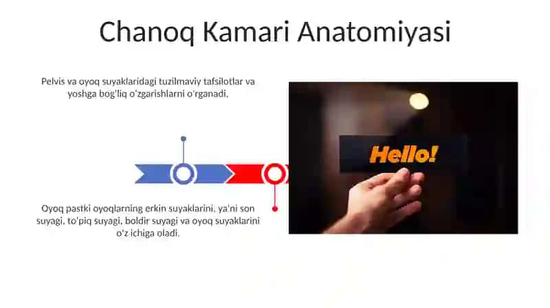 Chanoq Kamari va Oyoqning Erkin Suyaklari 3