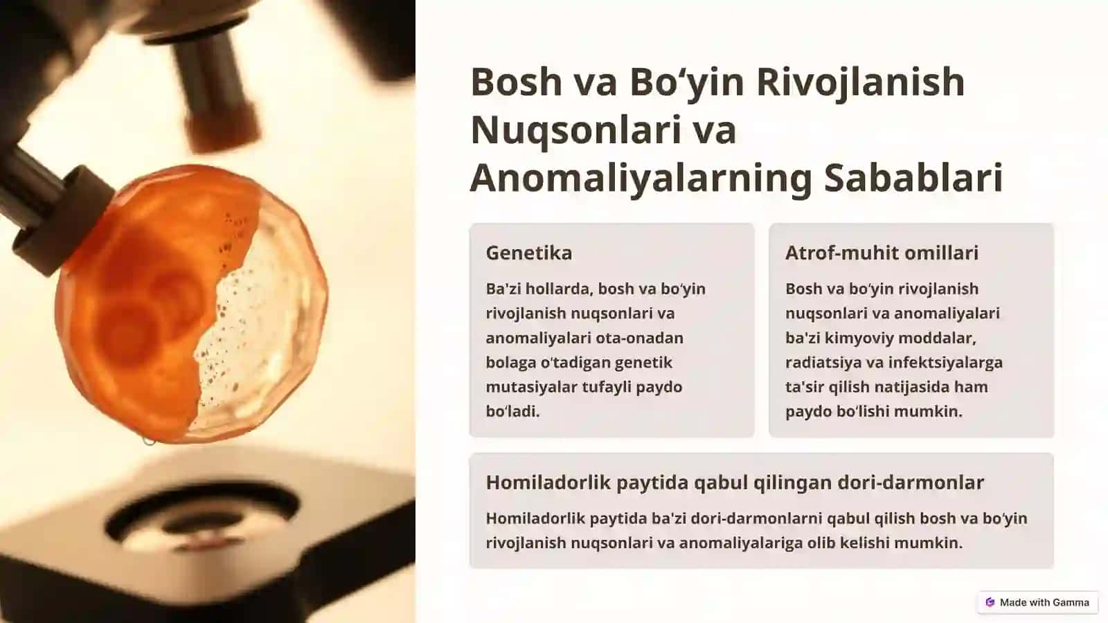 Bosh va Boʻyin Rivojlanish Nuqsonlari va Anomaliyalari 3