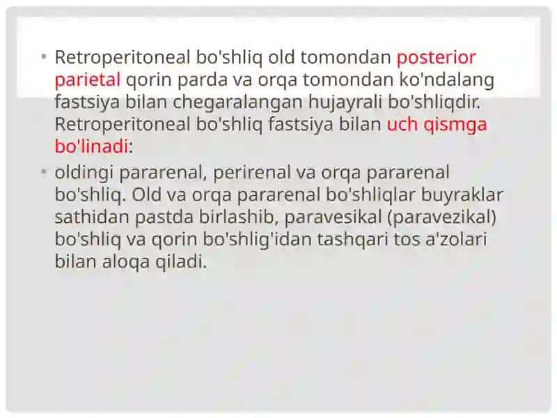 Qorin bo'shlig'i organlarining anatomiyasi 3