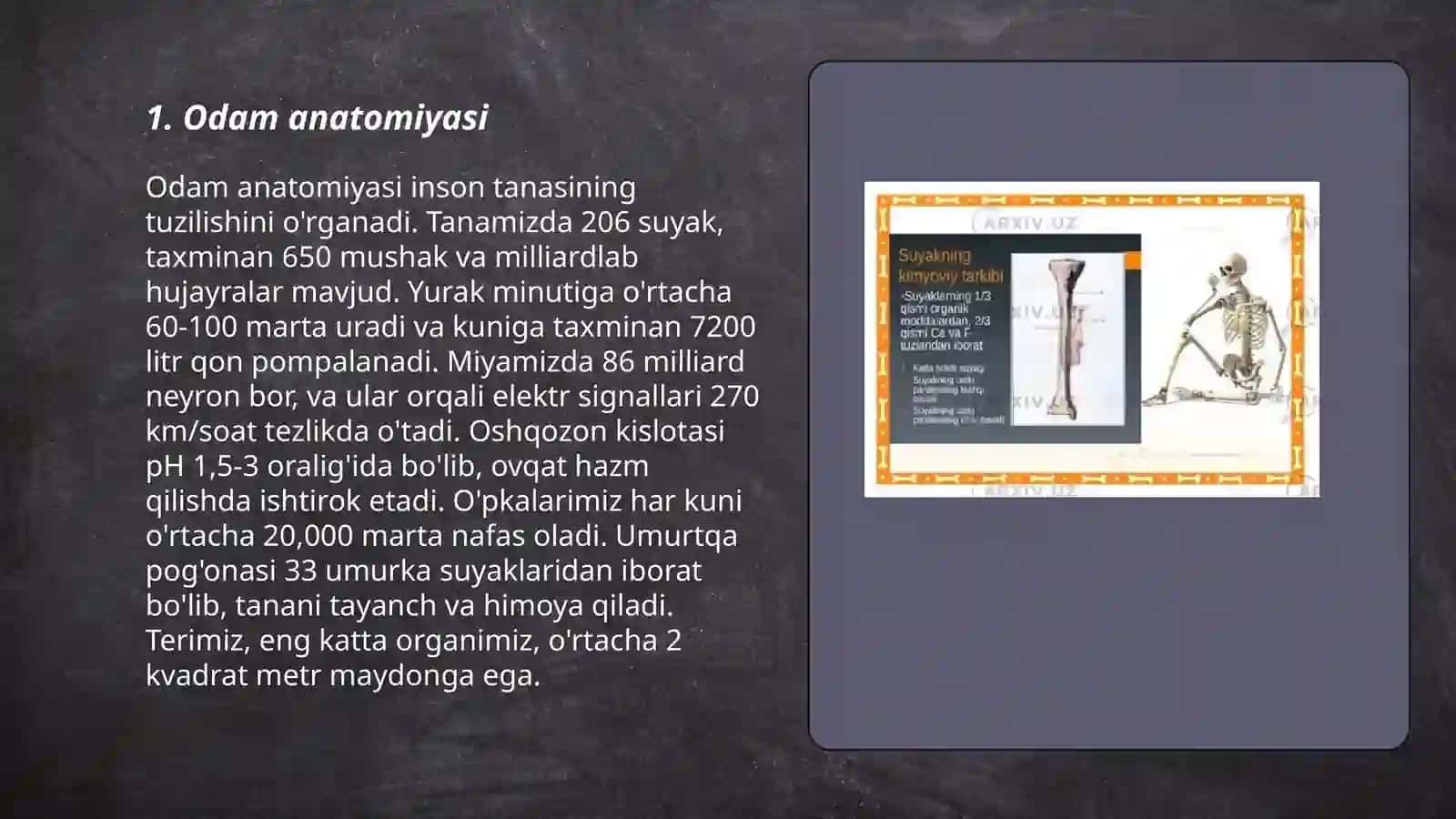 Odamlar anatomiyasi 3