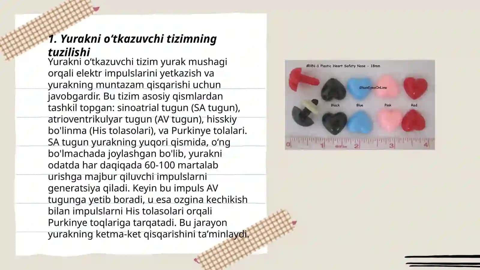 Yurakning oʻtkazuvchi tizimi yurak avtomatizmi 3