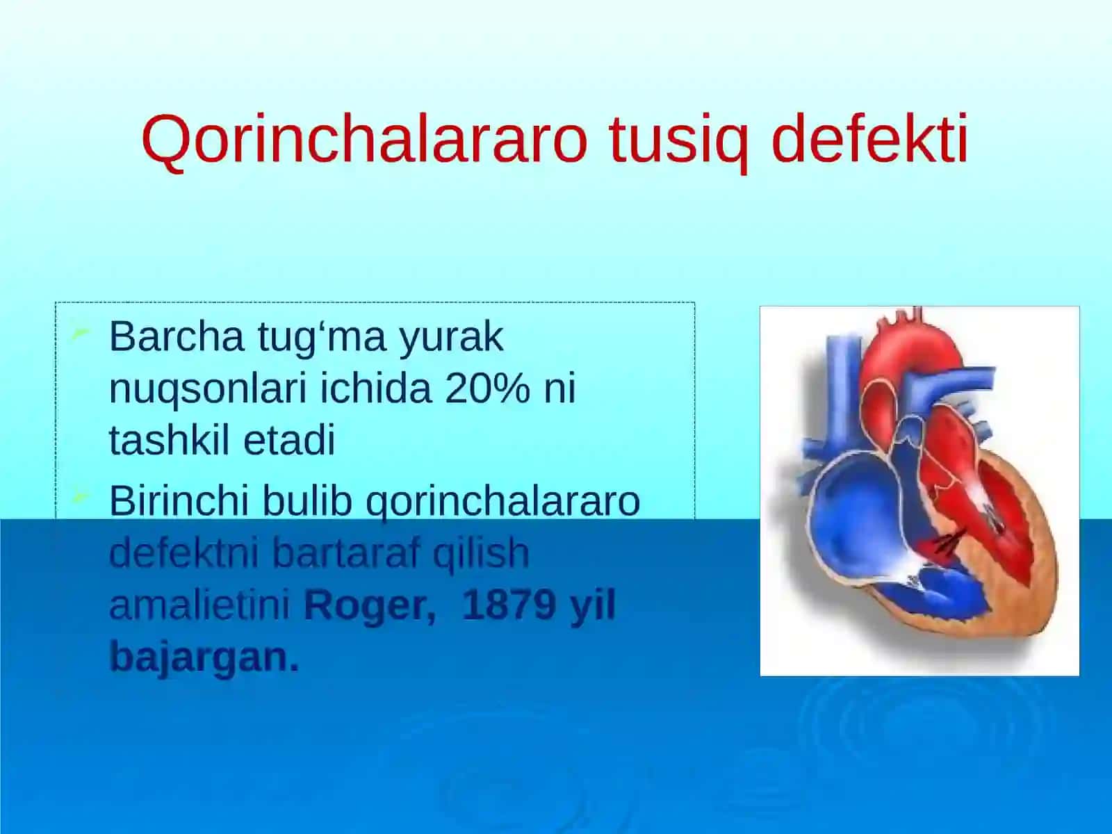 Yurak tuzilishi, yurakning o’tkazish sistemasi 3