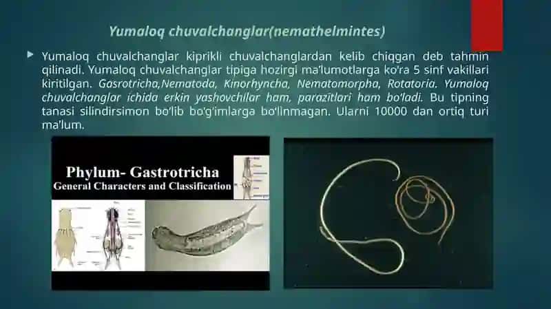 Yumaloq chuvalchanglar 3