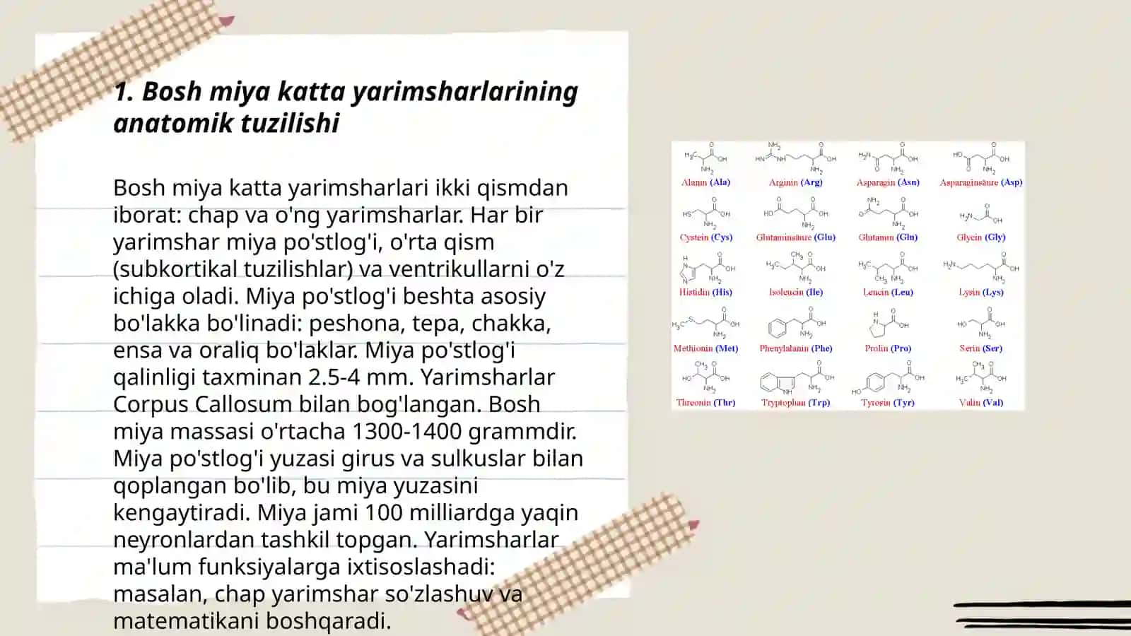 Bosh miya katta yarimsharlarining funksional asimmetriyasini tashxis qo'yishda ahamiyati 3