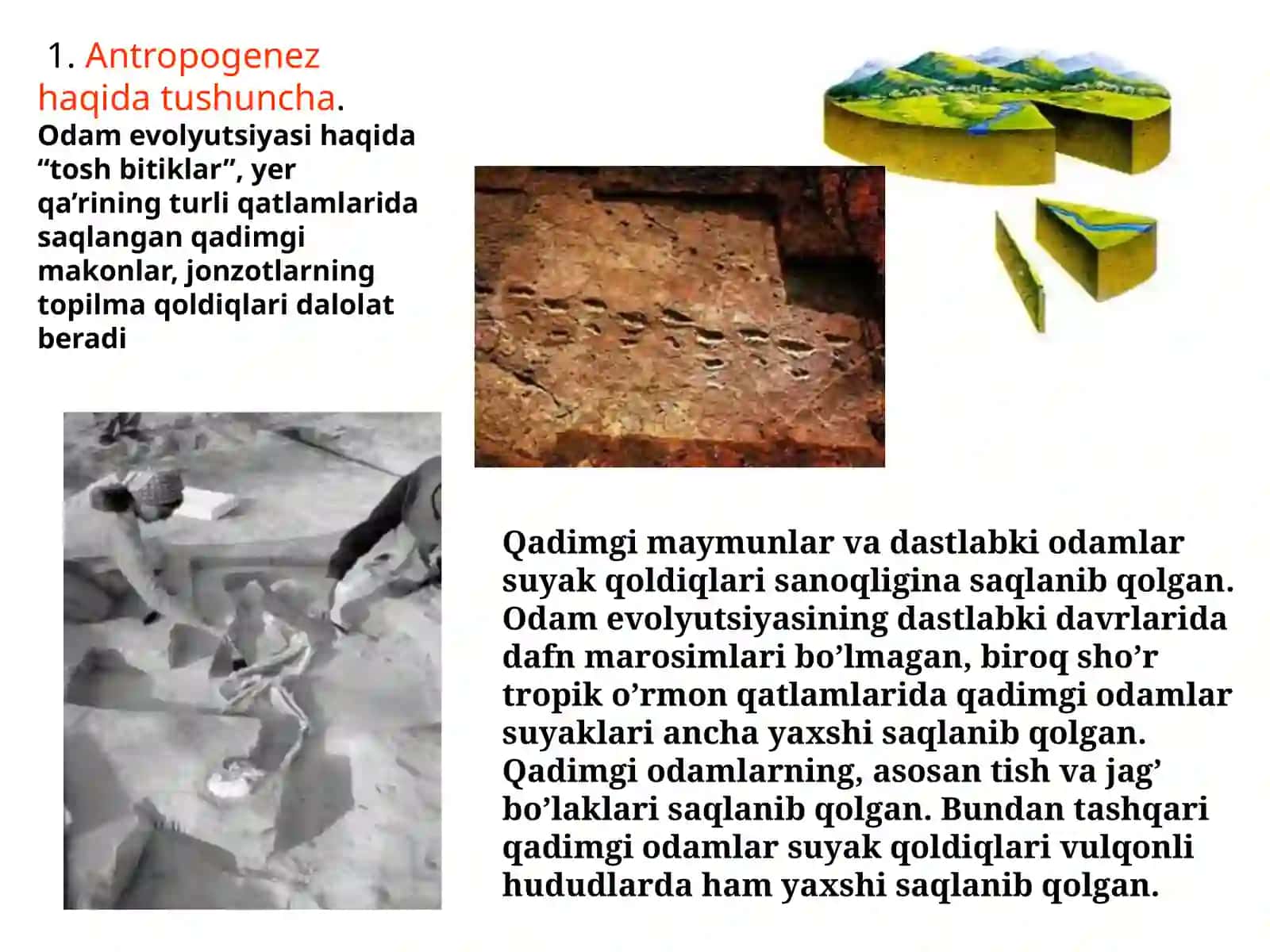 ANTROPOGENEZ 3