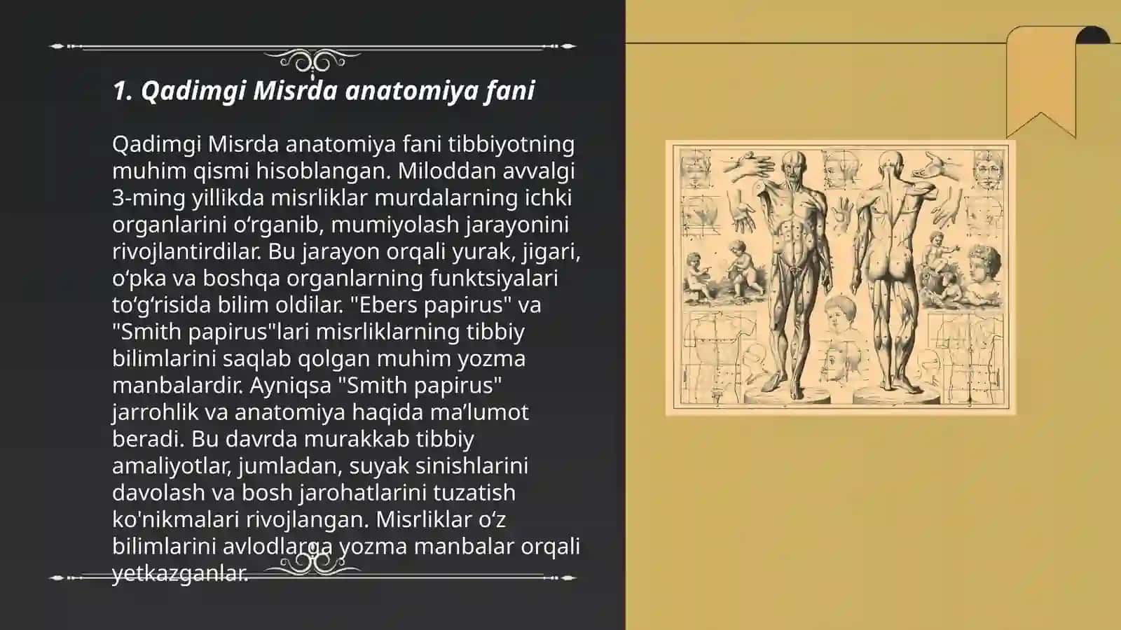 Anotomiya tarixi 3