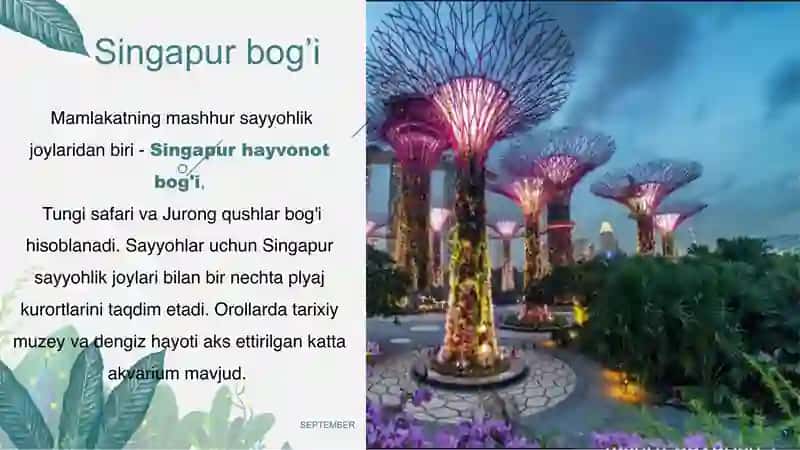 Singapur hayvonot bog'i 3