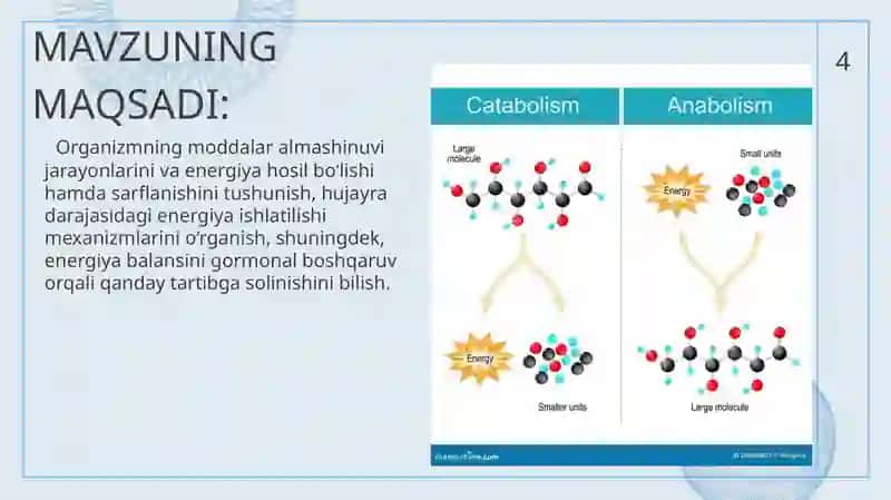 METABOLIZM JARAYONIDA ENERGIYA HOSIL BO’LISHI VA SARFLANSHI 3