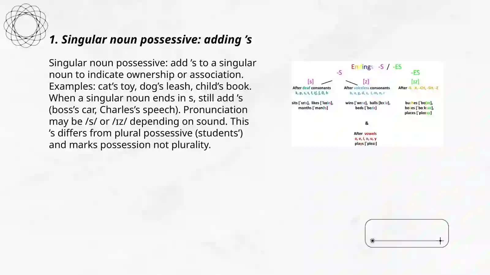 Plan: Singular noun possessive 3