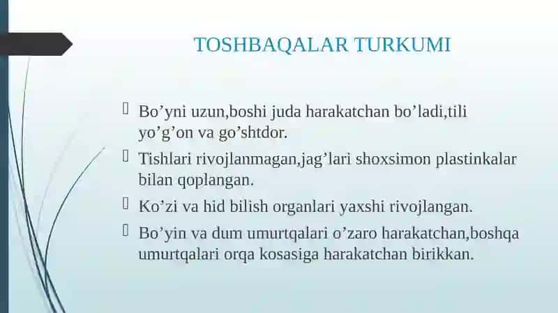 TOSHBAQALAR VA TIMSOHLAR TURKUMLARI 3