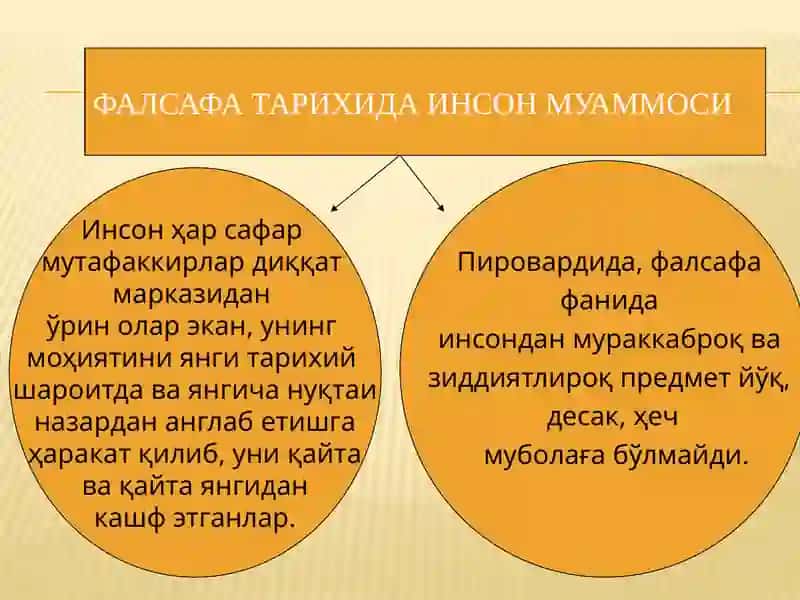 Инсон фалсафаси 3