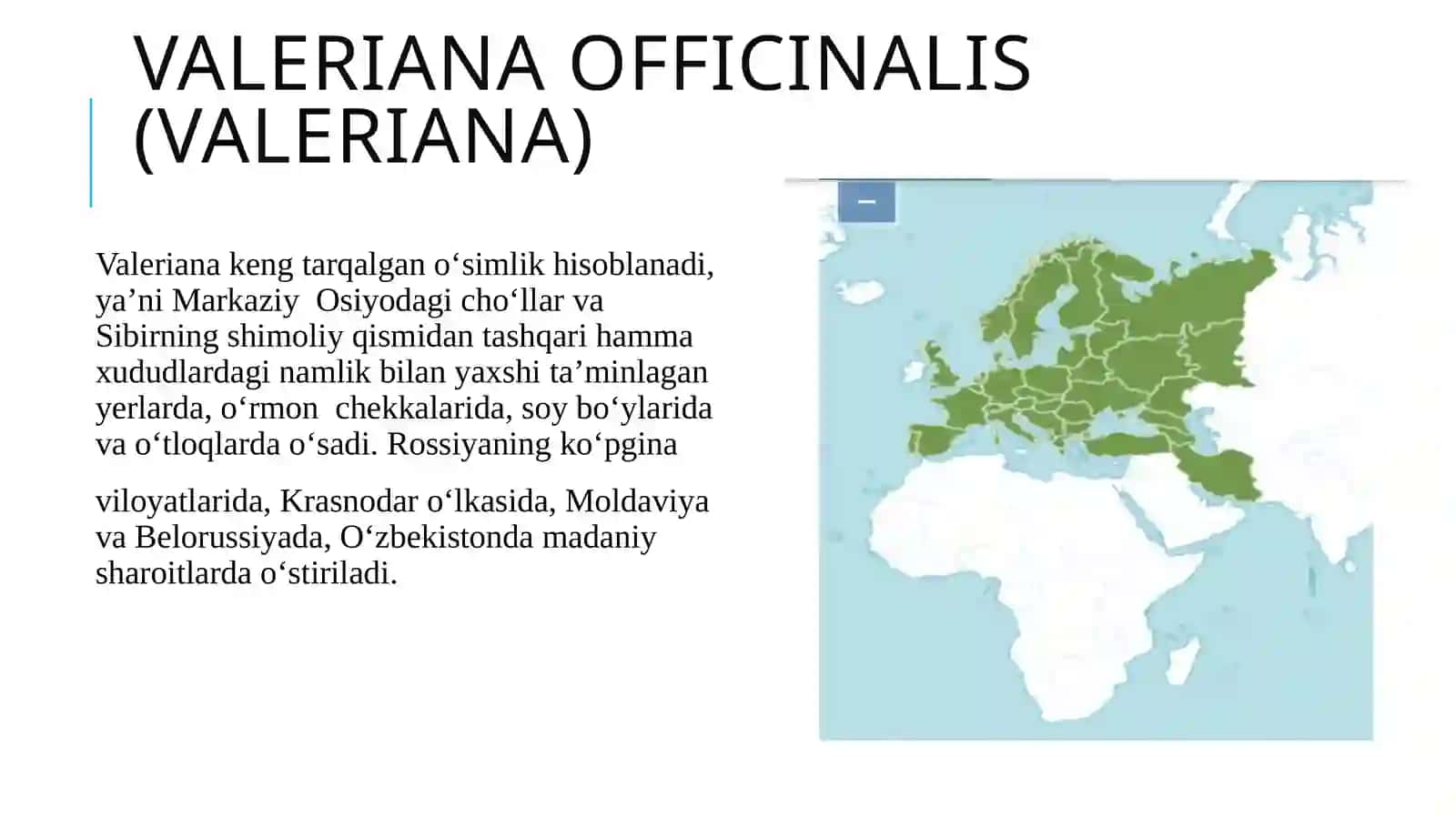 Sho'rlangan yerlarda dorivor o'simliklar yetishtirish texnalogiyasi 3