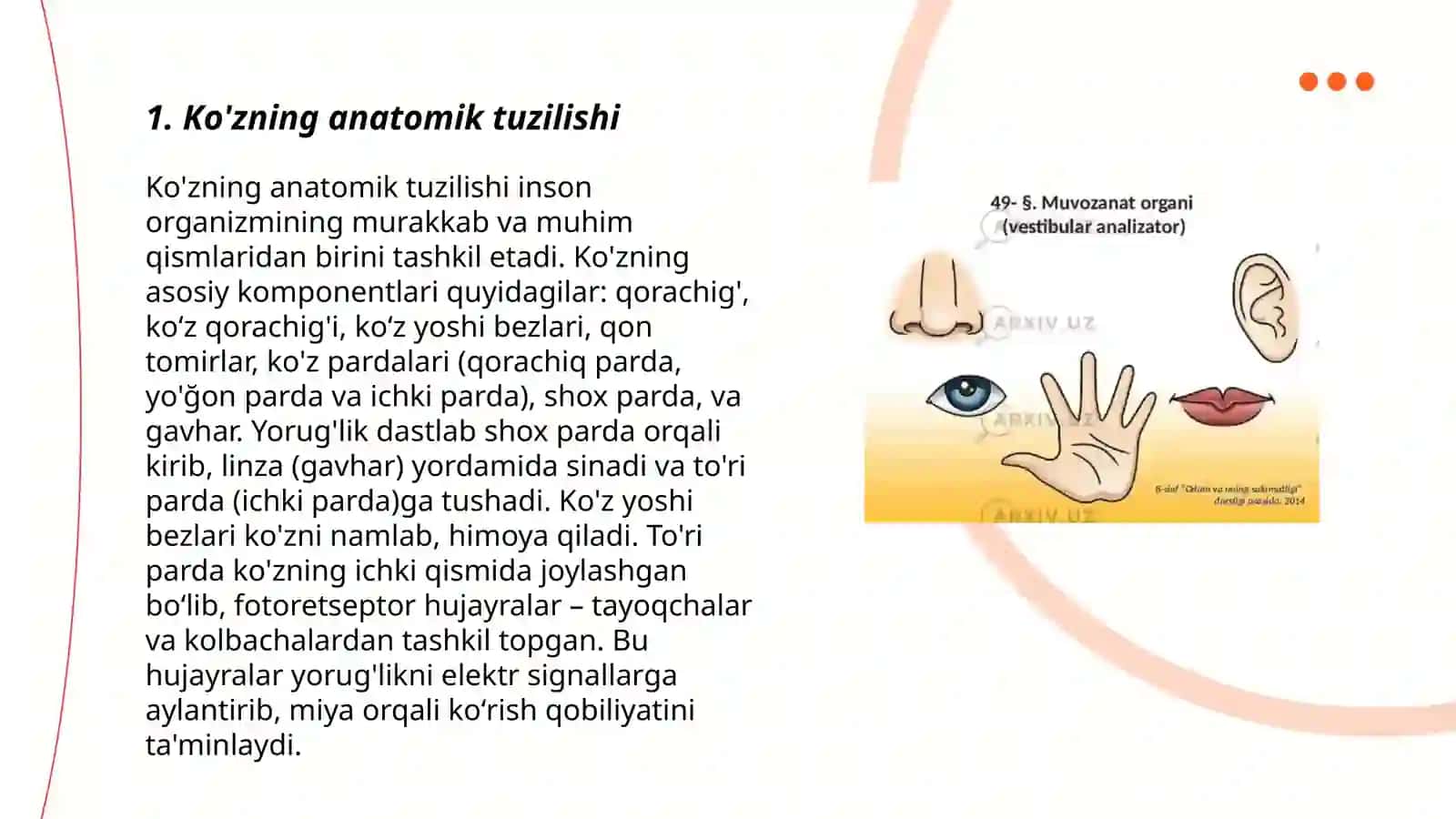 Ko'rish va eshitish organlarining xususiyatlari va gigeniyasi 3