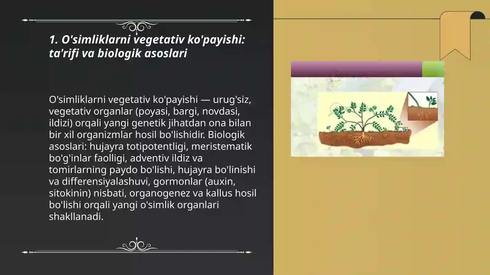 O'simliklarni vegetativ ko'payishi 3