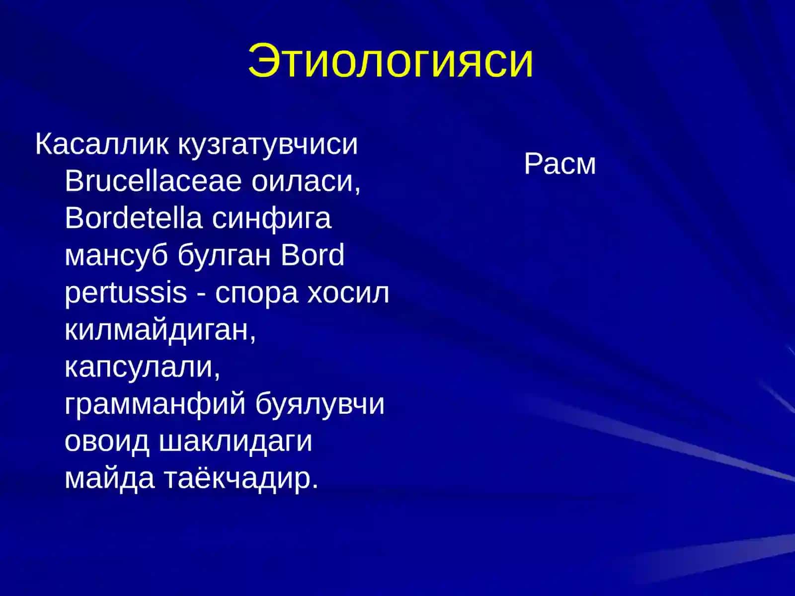 КЎКЙЎТАЛ 3