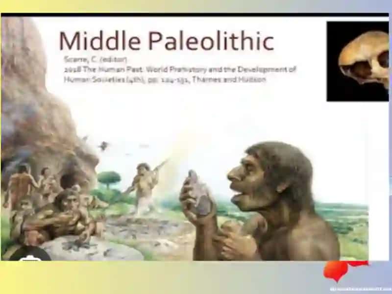 Paleolit davri 3