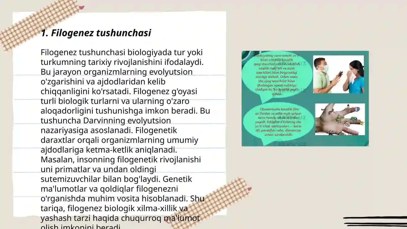 Filogenezda A’zolar va Sistemalar O‘zgarishlarining Umumiy Qonuniyatları 3