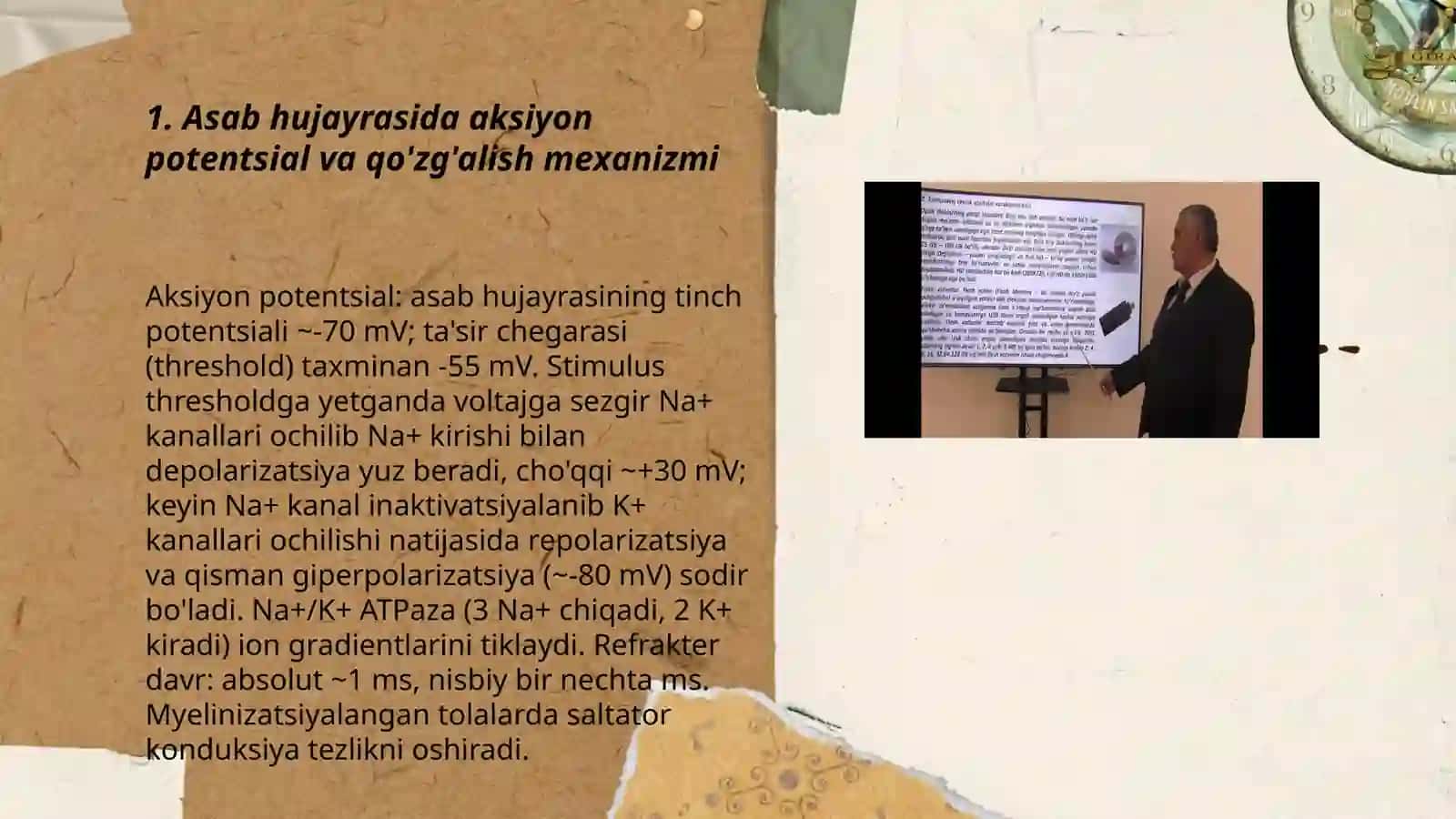 Asab jarayonlarining qõzğalishi va tormozlanishi 3