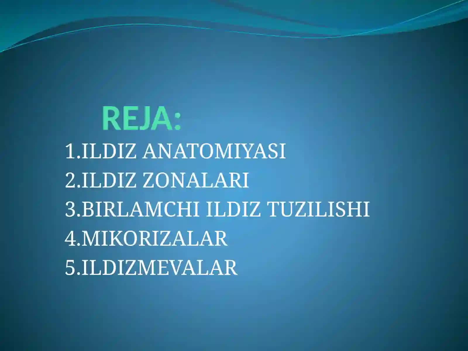 Ildiz 3