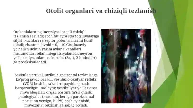 Eshotuv va vestebuliyar analizator fiziologiyasi 3