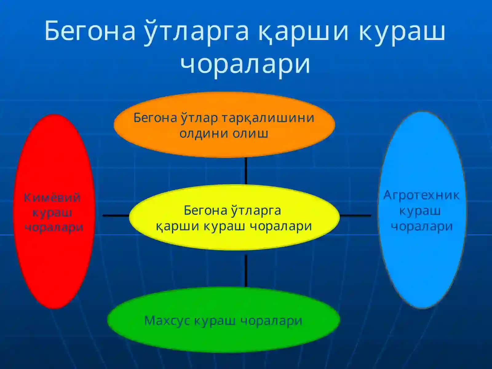 БЕГОНА ЎТЛАРГА ҚАРШИ КУРАШ ЧОРАЛАРИ 3
