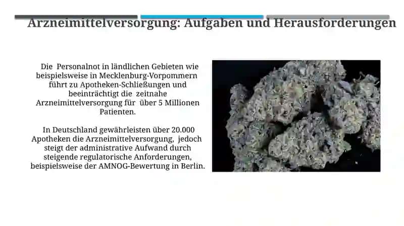 Der Apotheke 3