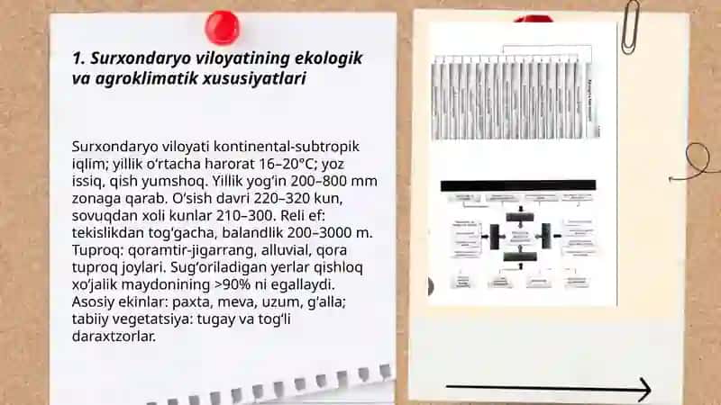 Ekologik xavfsiz pestitsid ishlab chiqarish konsepsiyasi 3