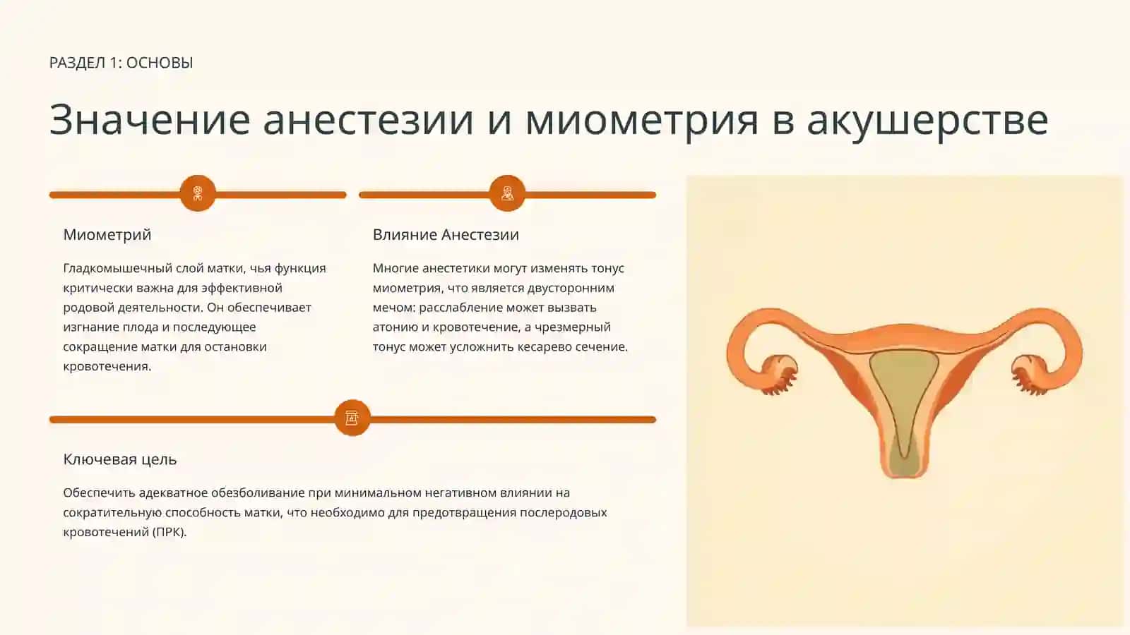 Средства для наркоза. Средства, влияющие на функцию миометрия 3