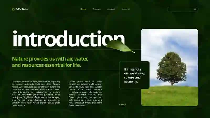 Nature 3