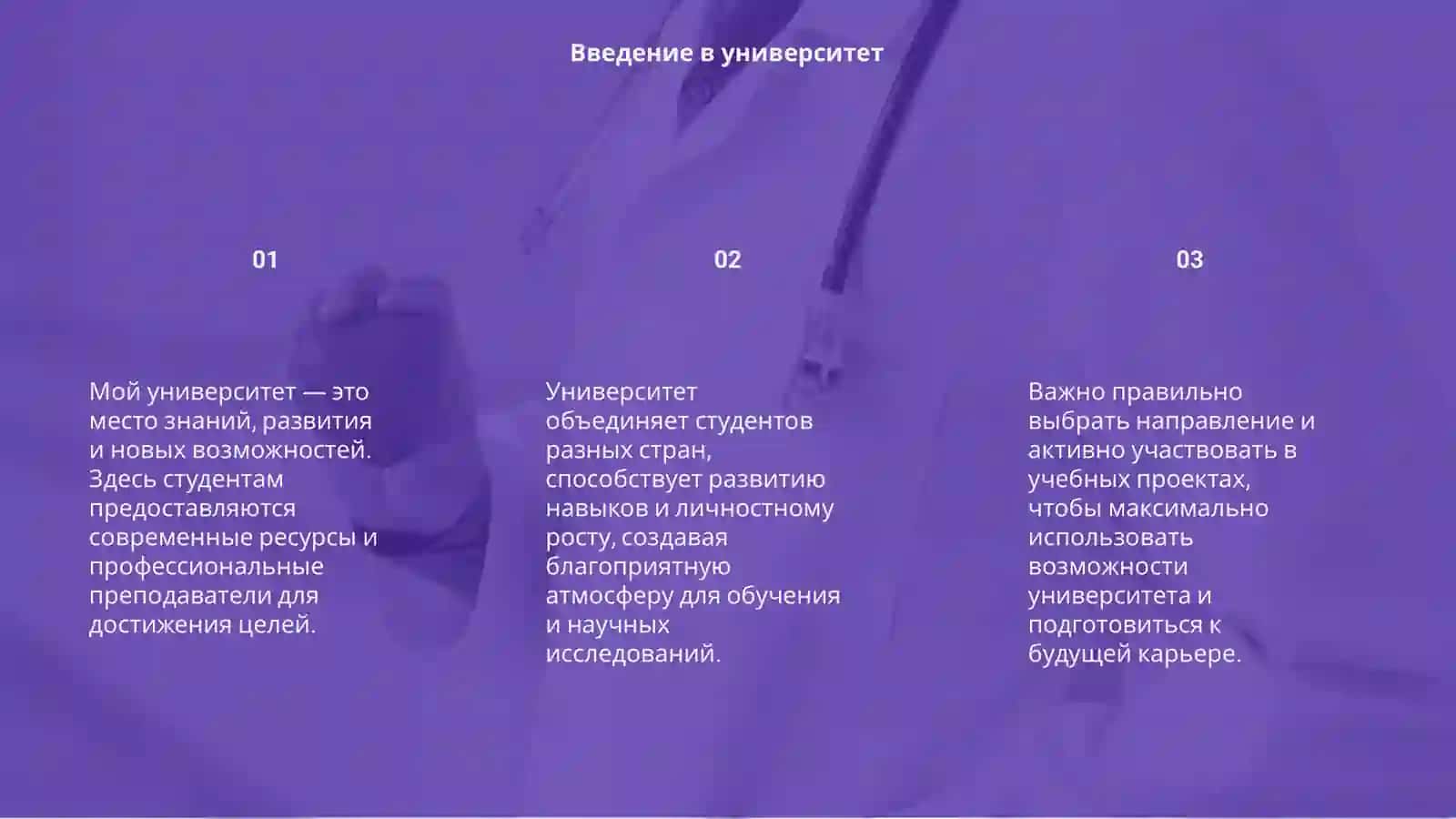 Мой университет 3