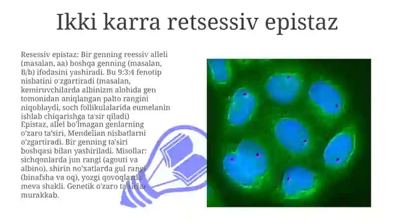 Epistazning ta'rifi 3