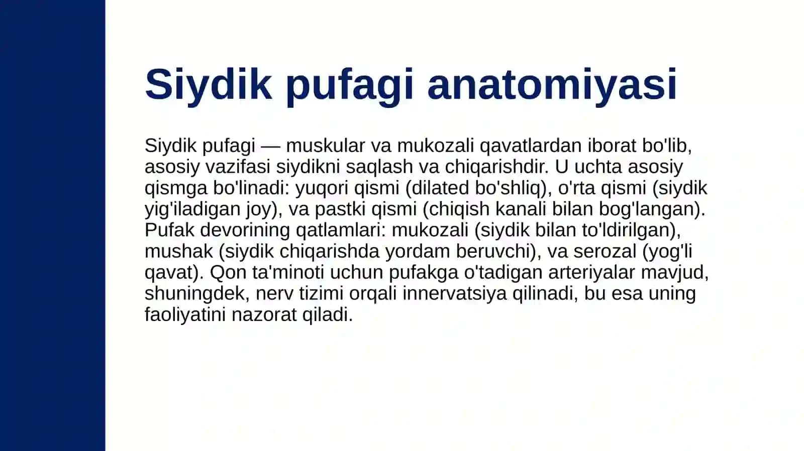 Siydik pufagi, nayi, siydik chiqarish kanali anatomiyasi 3