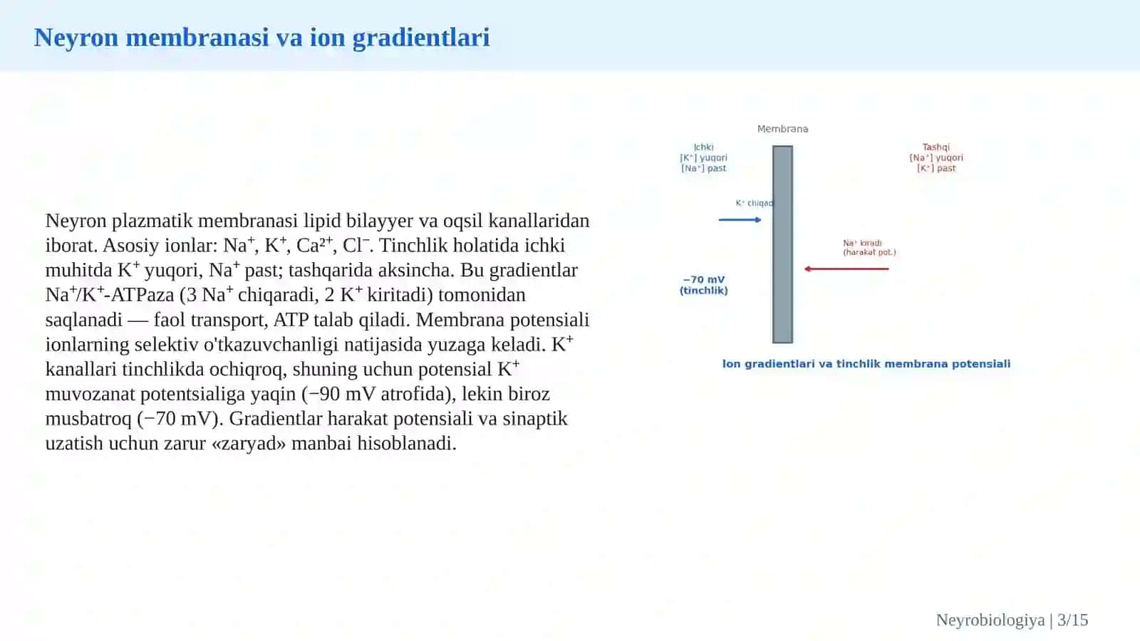 Neyronlarning molekulyar va elektrofiziologik mexanizmlari: sinaptik uzatish va neyroplastiklik 3