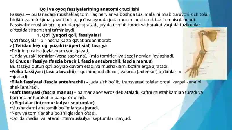 Qo‘l va oyoq fassiyalari 3