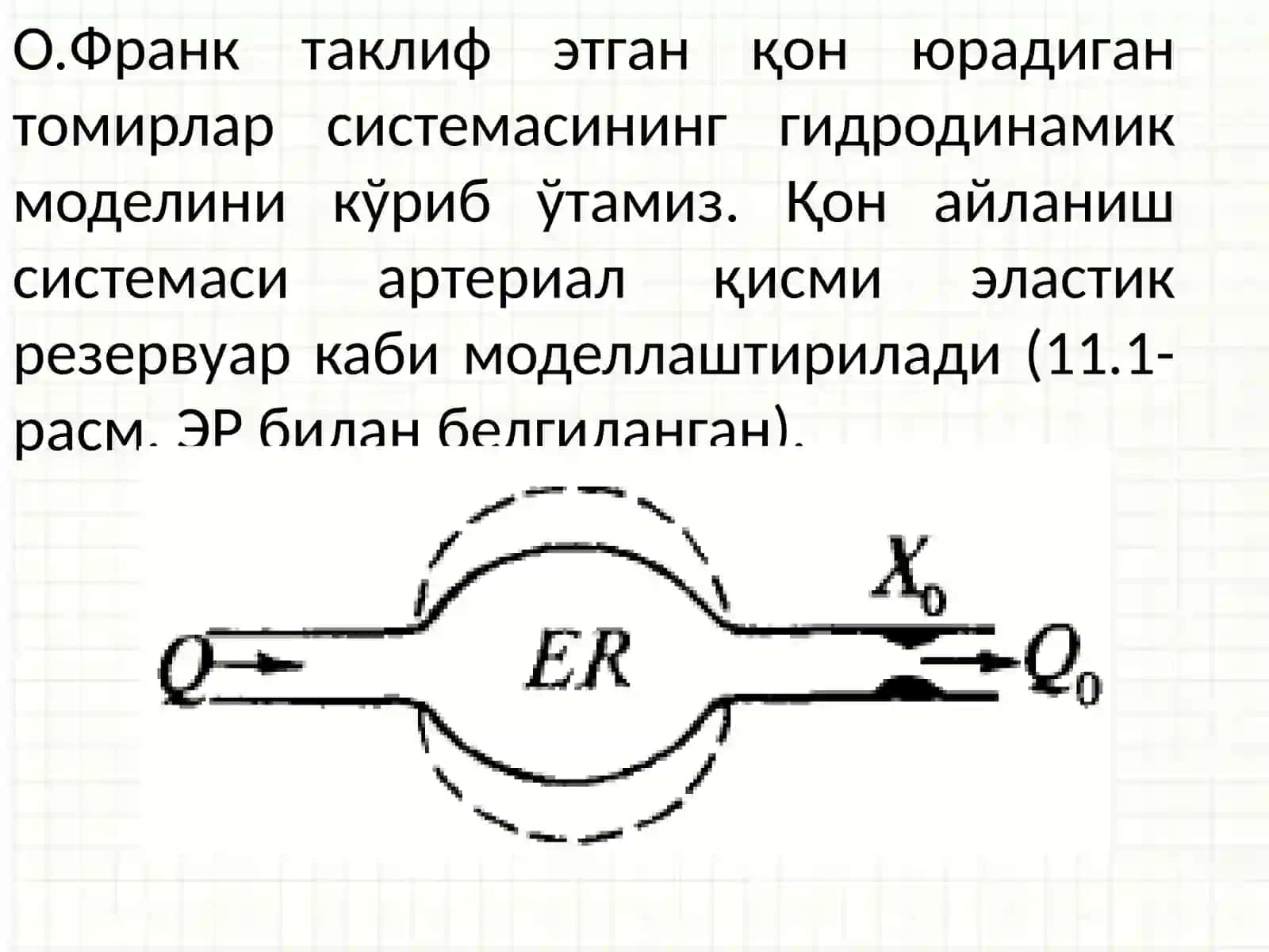 Юракфаолиятининг физикавийасослари Гемодинамика 3
