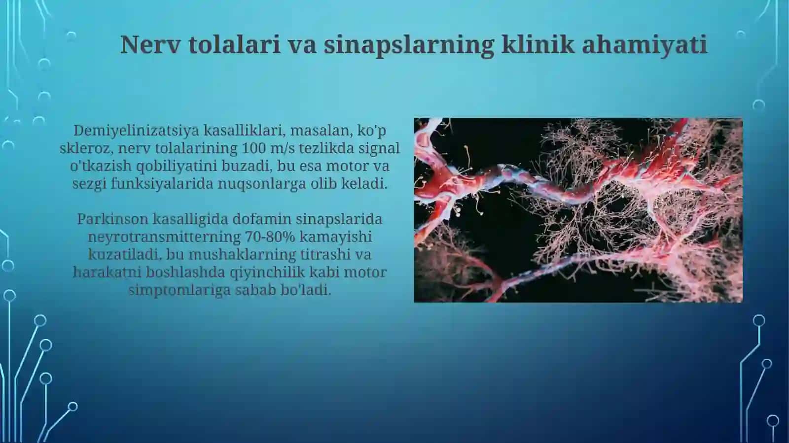 Nerv tolalari va sinapslar fiziologiyasi 3