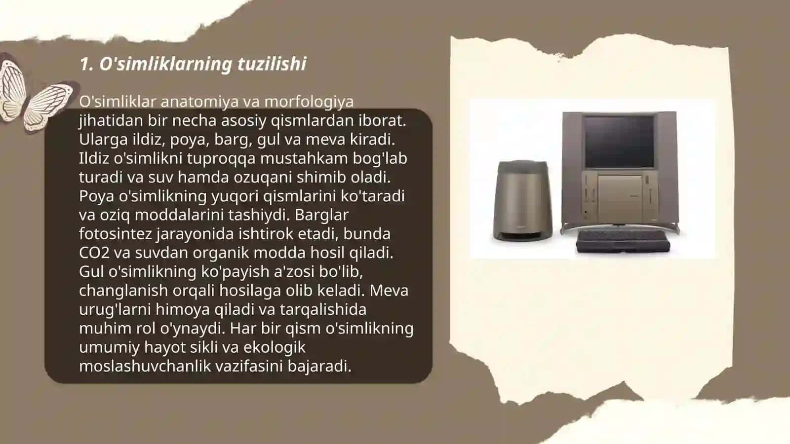4-sinf tabiiy fan darsligini tahlil qilish 3