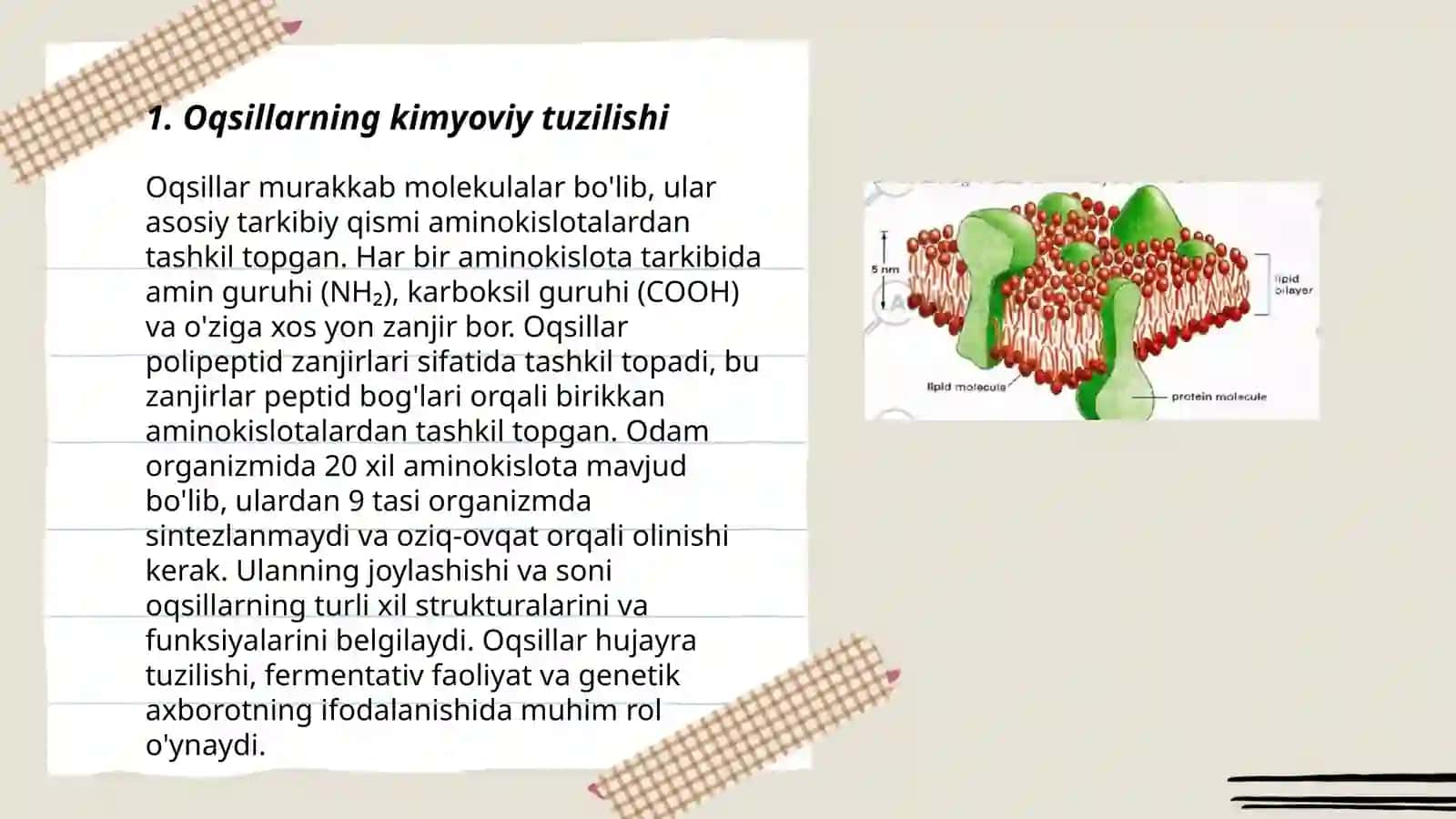 Oqsillar 3